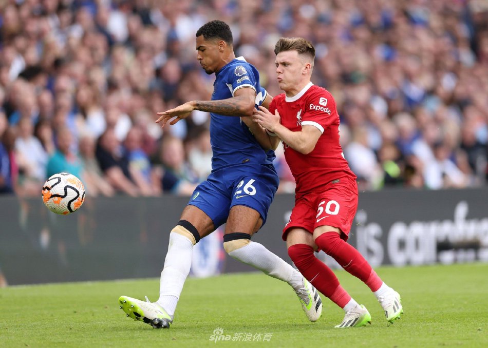 但林诗栋在 但林诗栋在